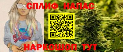 соль ск Можга
