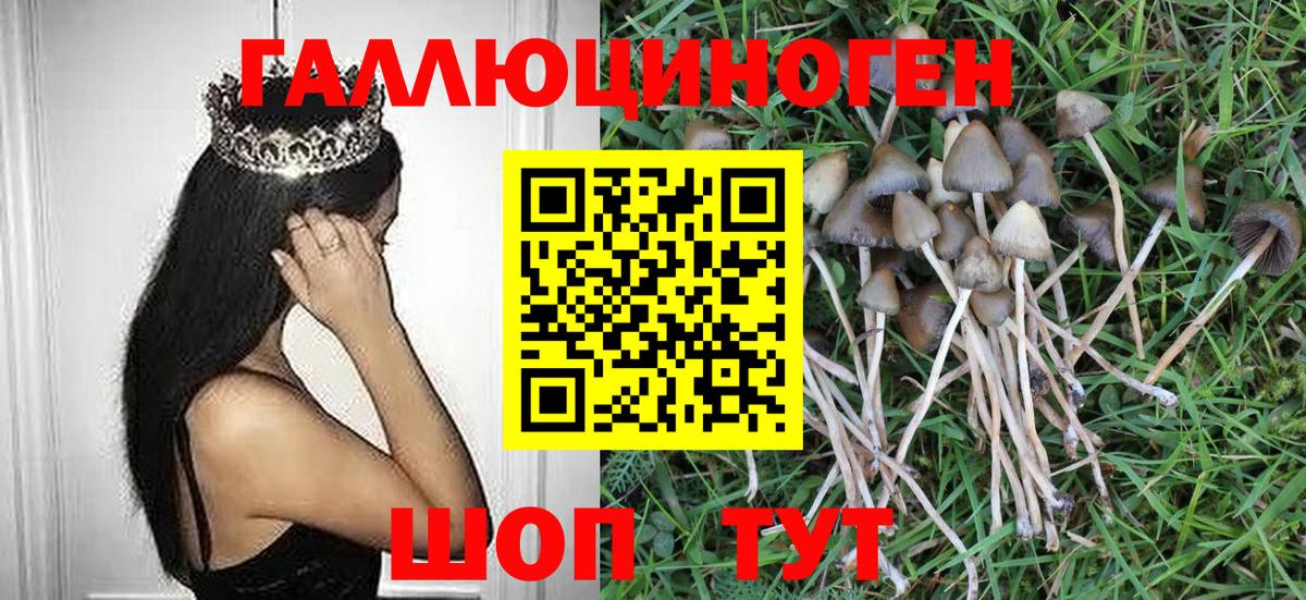 Ульяновск  Галлюциногенные грибы мухоморы  Вход с VPN  Галлюциногенные грибы GOLDEN TEACHER 